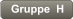 Gruppe  H